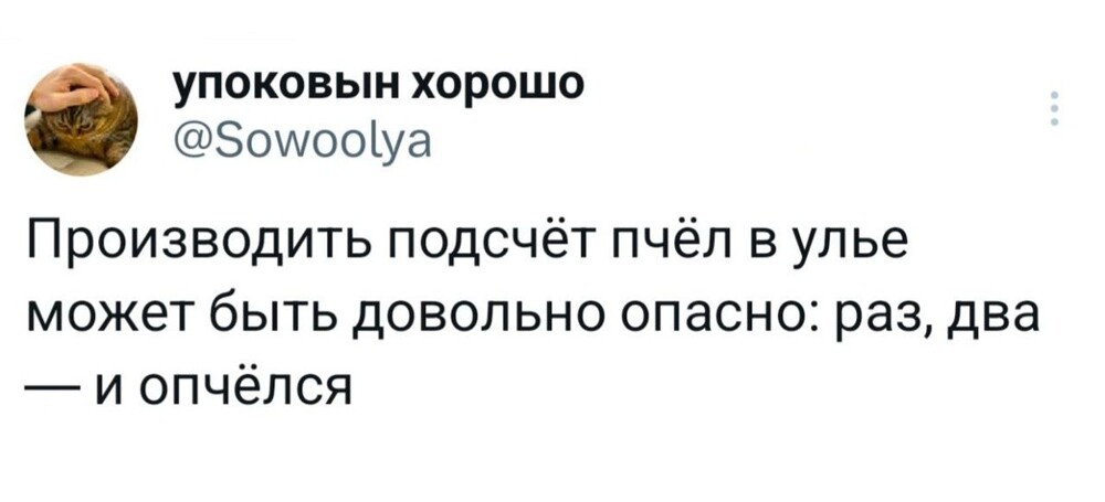 9. Есть ещё забавный каламбур про пчёл: грузинские пчёлы живут в киндзмараульях