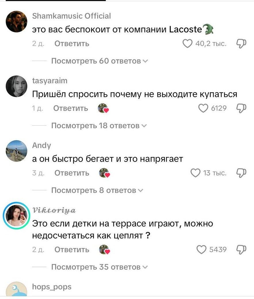 Аллигатор пришёл в гости, но хозяйка оказалась смелее