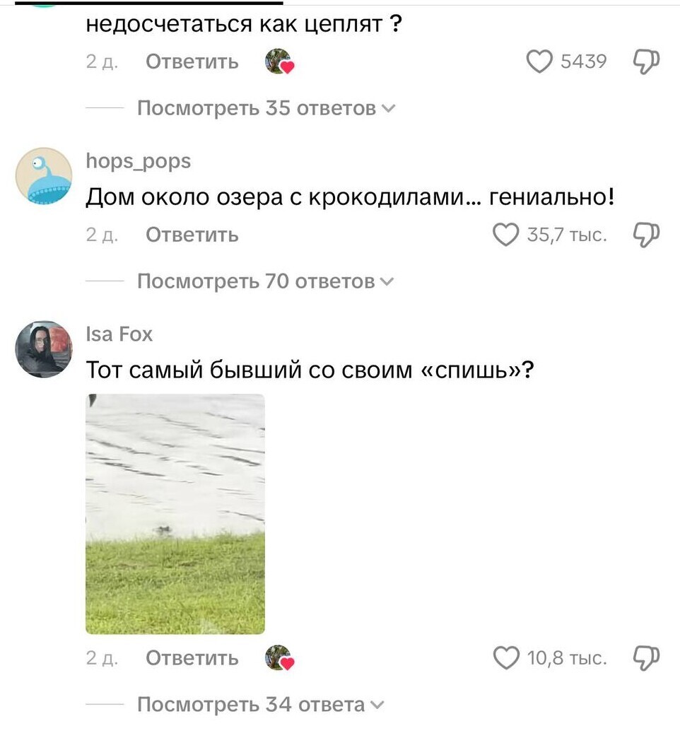 Аллигатор пришёл в гости, но хозяйка оказалась смелее