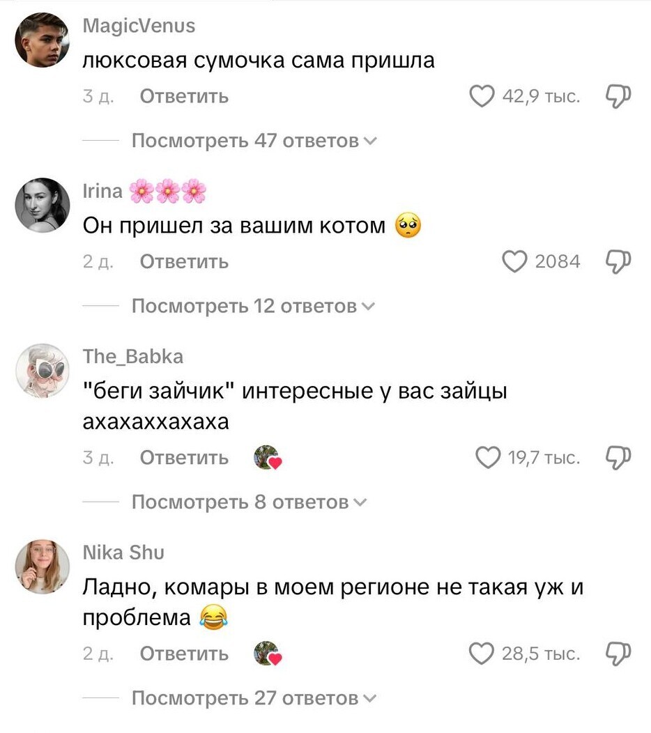 Аллигатор пришёл в гости, но хозяйка оказалась смелее