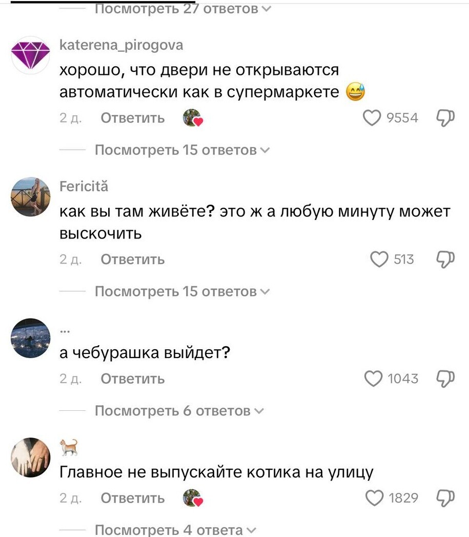 Аллигатор пришёл в гости, но хозяйка оказалась смелее