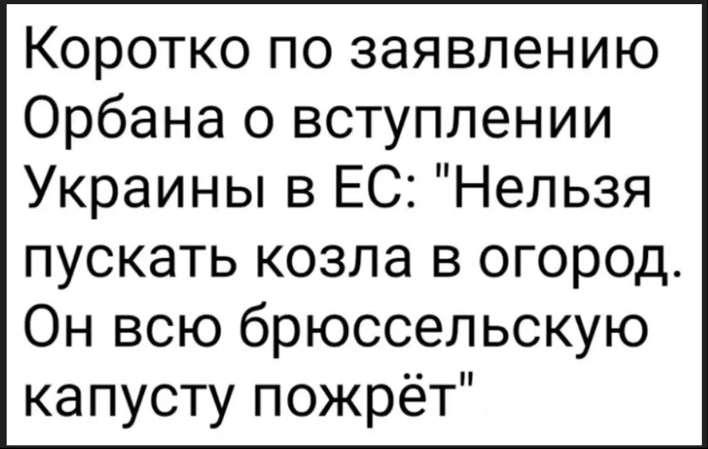 Лишь о политике