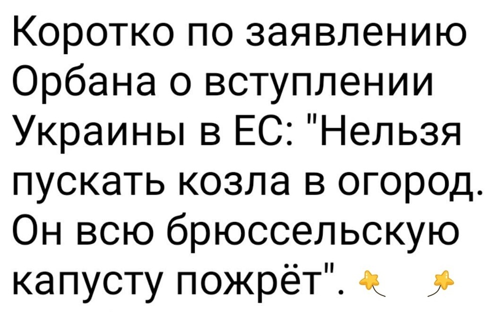 Лишь о политике
