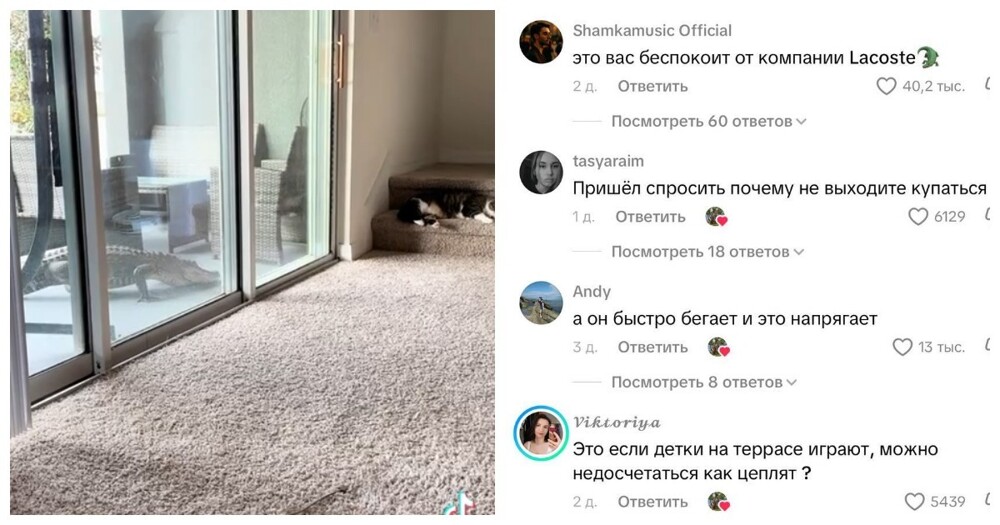 Аллигатор пришёл в гости, но хозяйка оказалась смелее