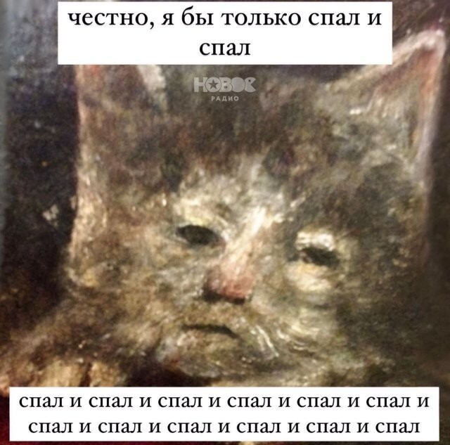 Скрины из соцсетей