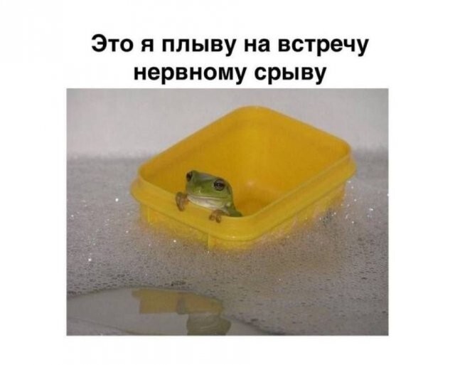 Скрины из соцсетей
