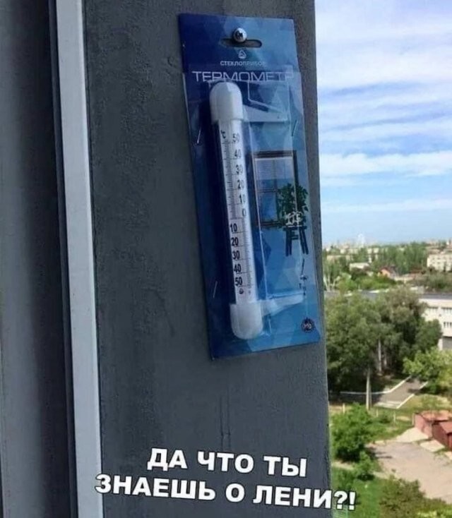 Скрины из соцсетей