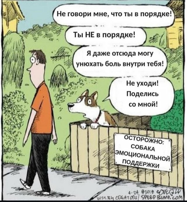 Скрины из соцсетей
