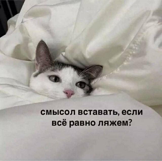 Скрины из соцсетей