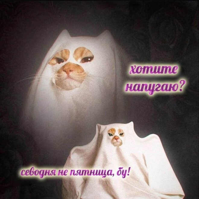 Не ищите здесь смысл. Здесь в основном маразм