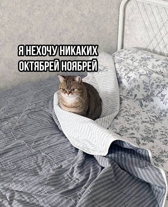 Не ищите здесь смысл. Здесь в основном маразм