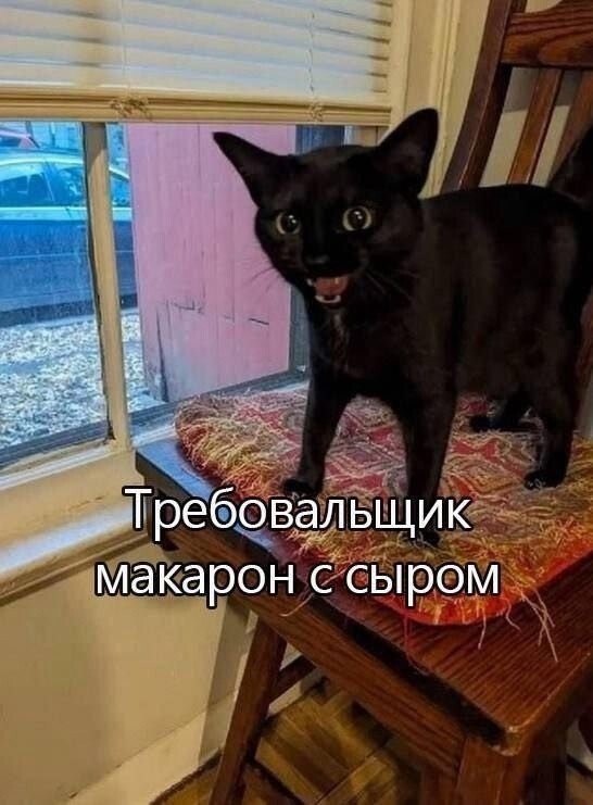 Не ищите здесь смысл. Здесь в основном маразм