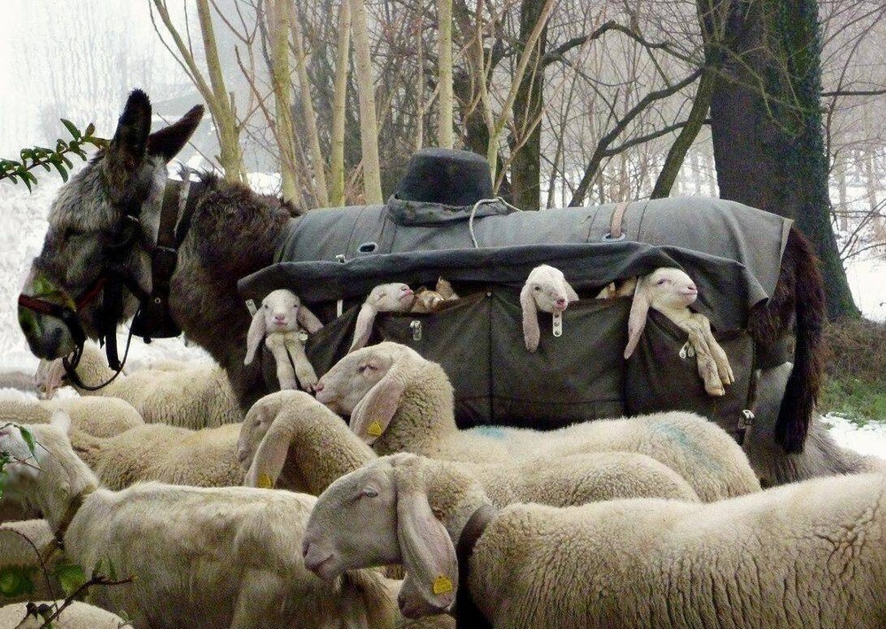 На общую тему  На общую тему