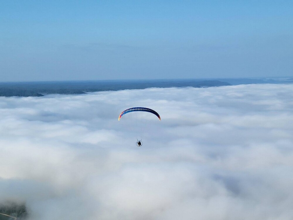 На общую тему  На общую тему