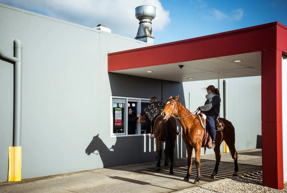 На общую тему  На общую тему