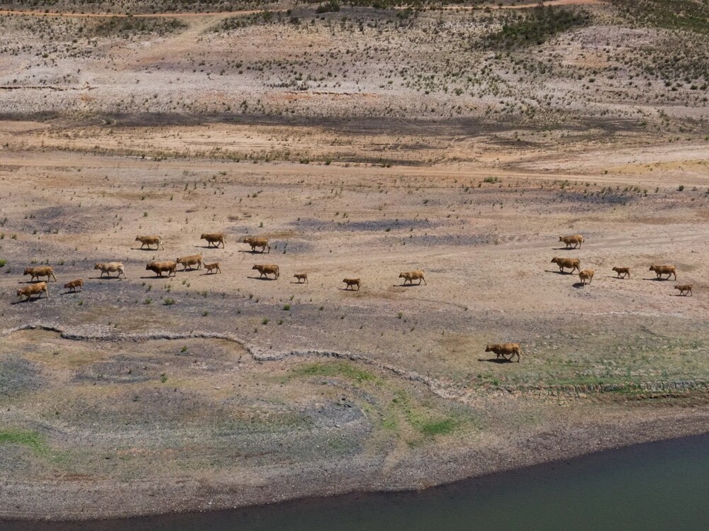 На общую тему  На общую тему