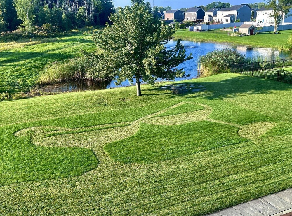На общую тему  На общую тему