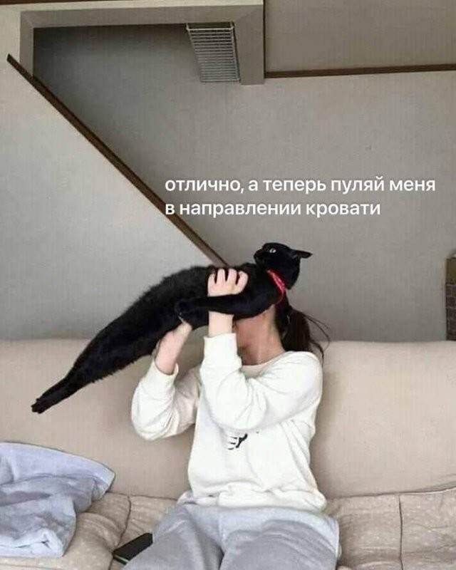 Скрины из соцсетей