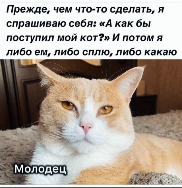 Скрины из соцсетей