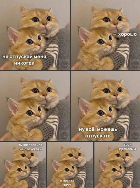 Скрины из соцсетей