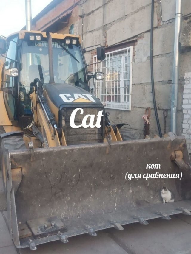 Скрины из соцсетей