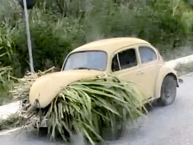 АвтоВсячина