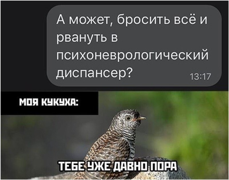 Зумеры додумались до отдыха мечты... в психдиспансере