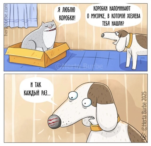 Скрины из соцсетей