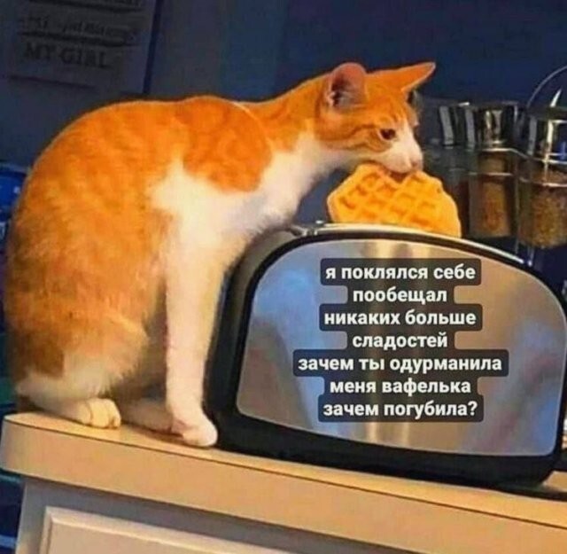 Скрины из соцсетей