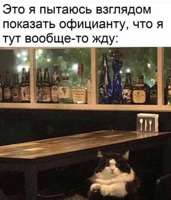 Скрины из соцсетей