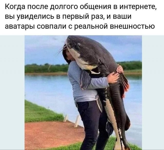 Скрины из соцсетей