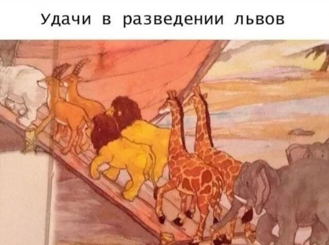 Скрины из соцсетей