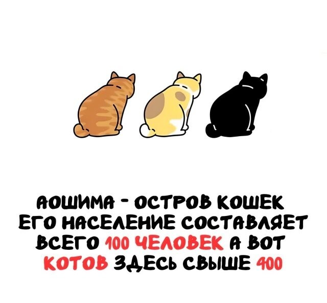 А вдруг ты не знал…