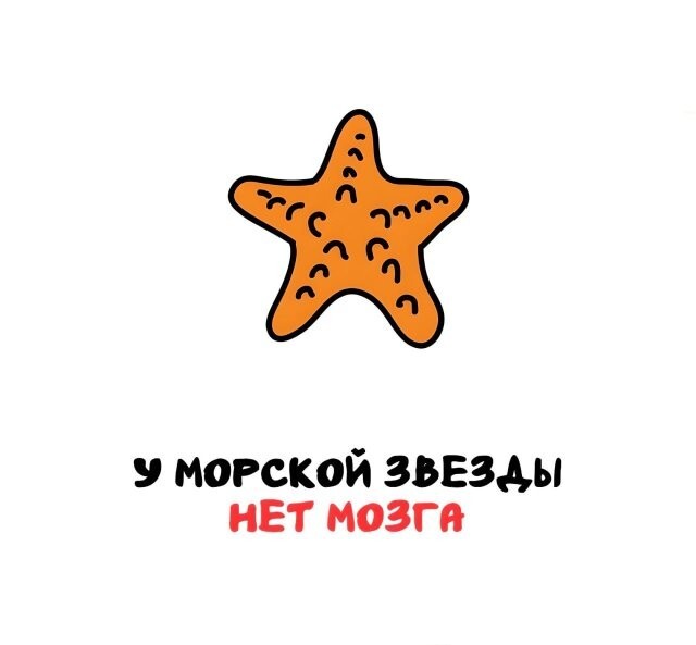 А вдруг ты не знал…