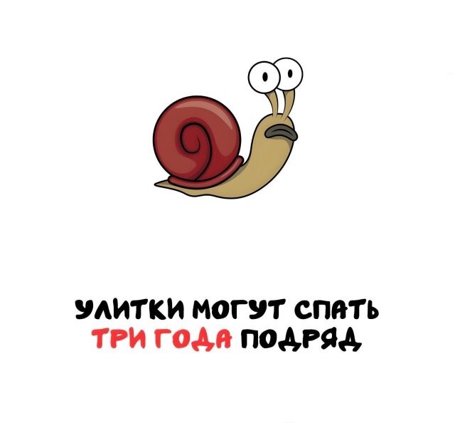 А вдруг ты не знал…