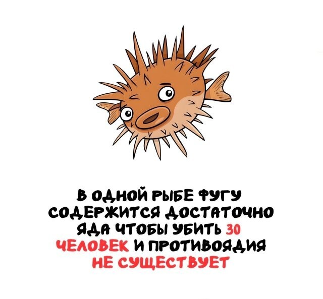А вдруг ты не знал…