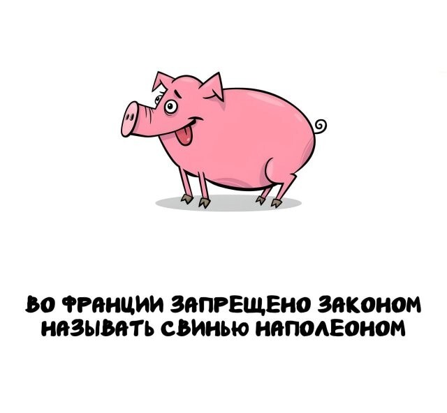 А вдруг ты не знал…