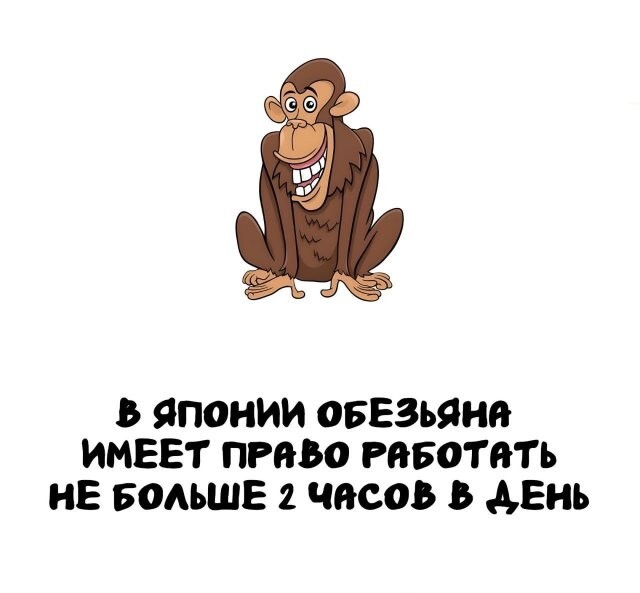 А вдруг ты не знал…