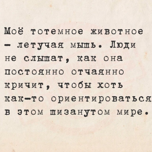 Не ищите здесь смысл. Здесь в основном маразм