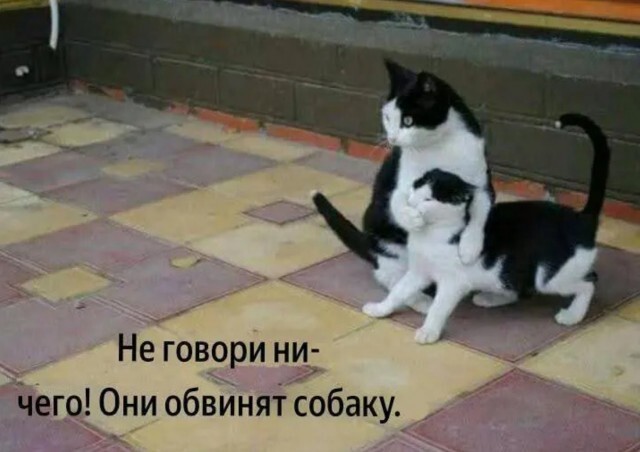 Не ищите здесь смысл. Здесь в основном маразм