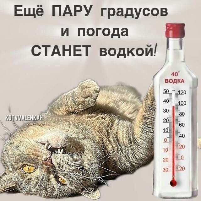 Не ищите здесь смысл. Здесь в основном маразм