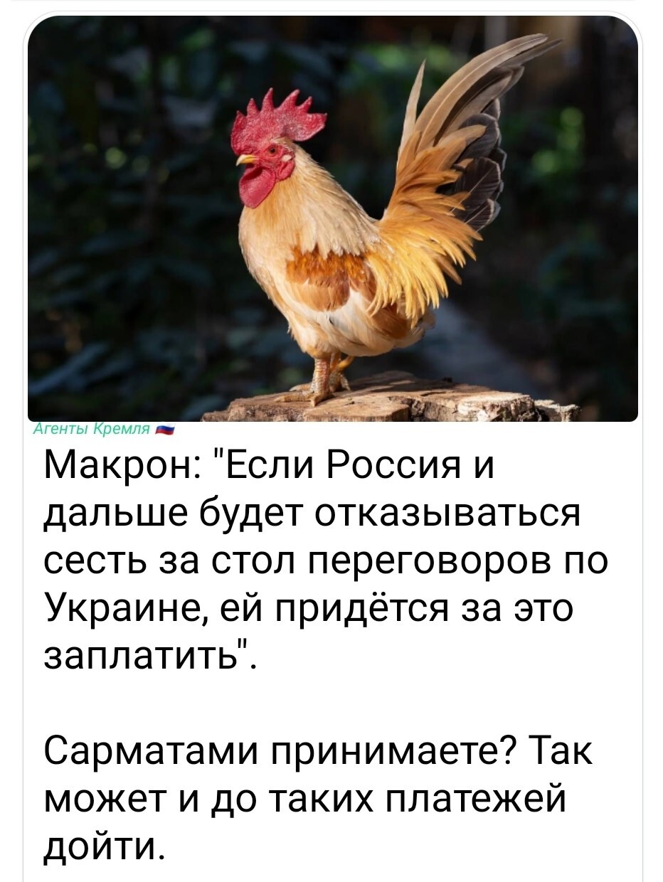 Поквакал? Иди в болото!!!..