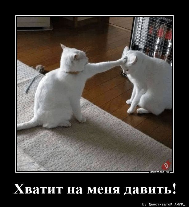 Хватит на меня давить!