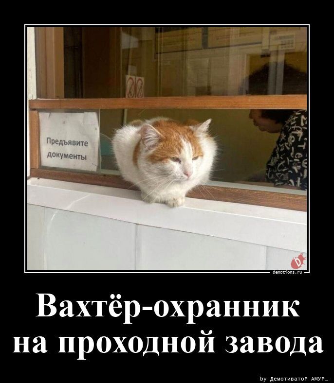 Вахтёр-охранник на проходной завода
