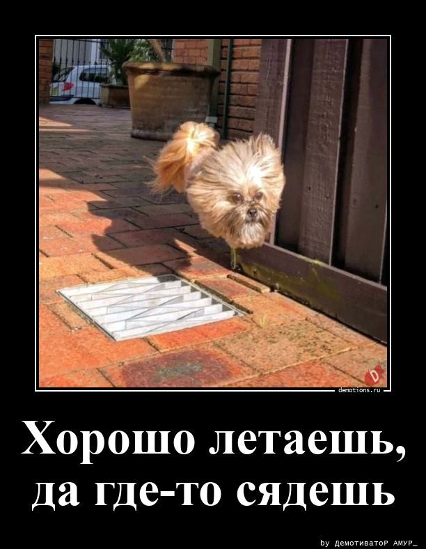 Хорошо летаешь, да где-то сядешь