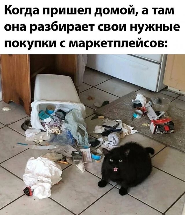 Скрины из соцсетей