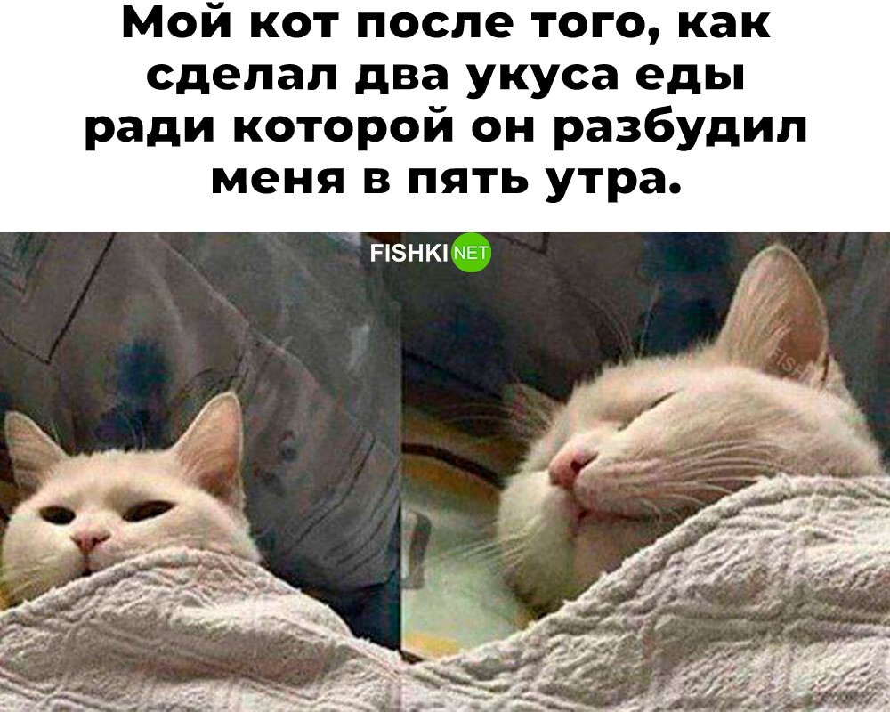 Скрины из соцсетей