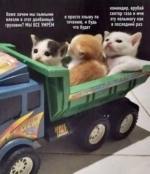  Намешалось 