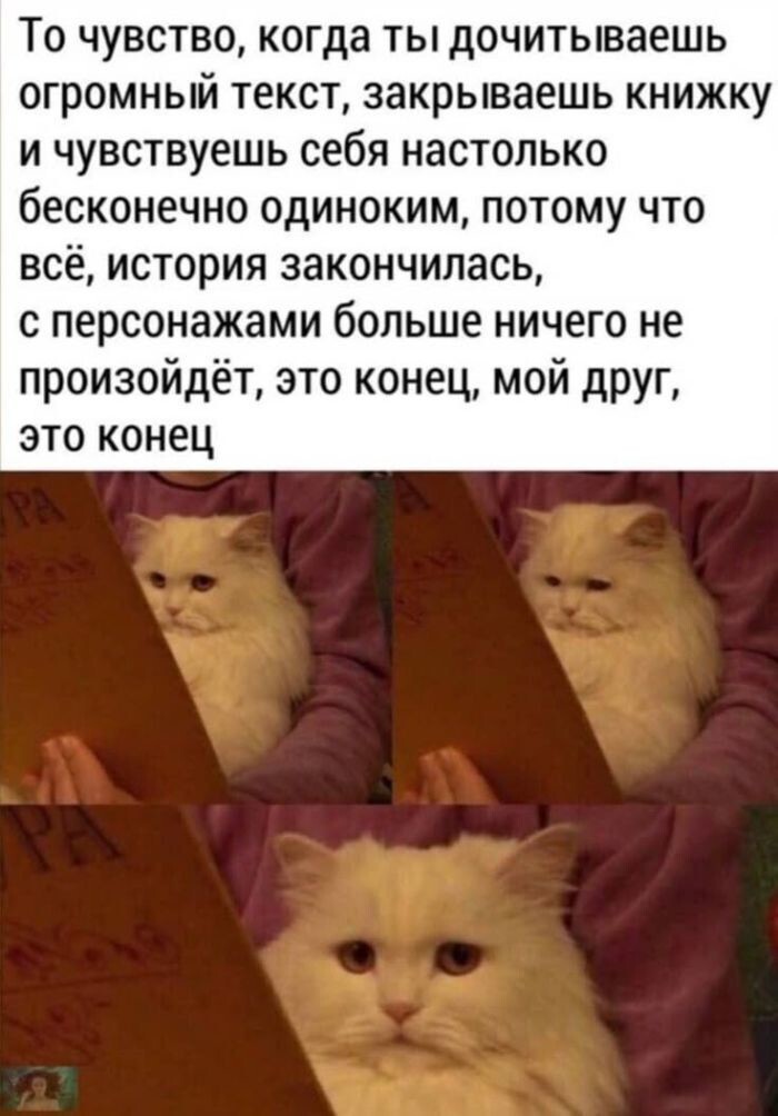 Не ищите здесь смысл. Здесь в основном маразм