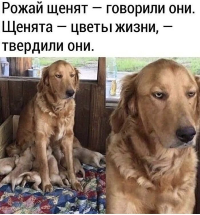 Не ищите здесь смысл. Здесь в основном маразм